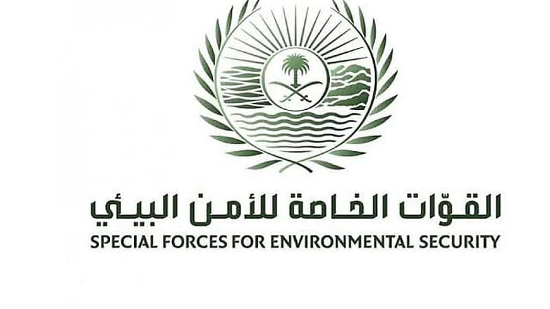 ضبط مخالفًا لنظام البيئة لاقتلاعه الأشجار دون ترخيص بتبوك