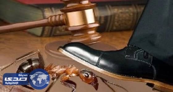 فرع وزارة العمل بمنطقة مكة المكرمة ينفذ حملة تفتيشية لمجمع اتصالات بجدة