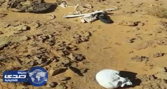 بالفيديو.. المرور تقدم الشكر لقائدي المركبات على الالتزام بقواعد السير