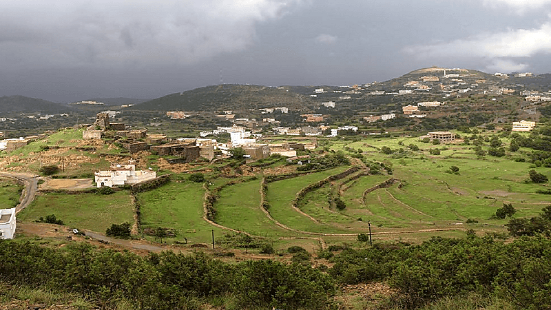 قرود شرسة تهجم على طفلين بجوار منزلهما في المخواة