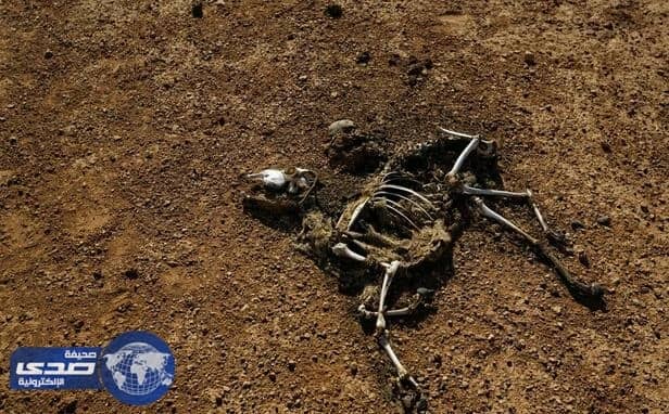 3 مليون شخص في بوروندي يواجهون مخاطر انعدام الغذاء ..والأمم المتحدة تحذر