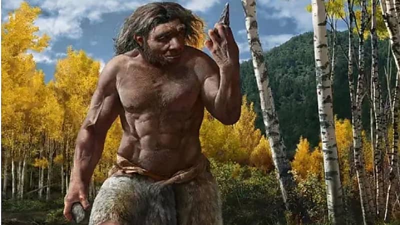 العلماء يكتشفون صنف غامض من البشر عاش قبل 164 ألف عام في جنوب آسيا