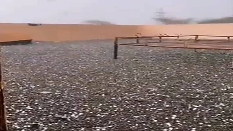 شاهد.. تساقط حبات البرد الكثيفة بغرب العيص 