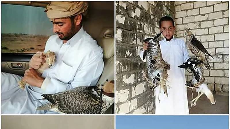 العثور على جثث 3 أخوة فُقدوا خلال رحلة صيد في الصحراء