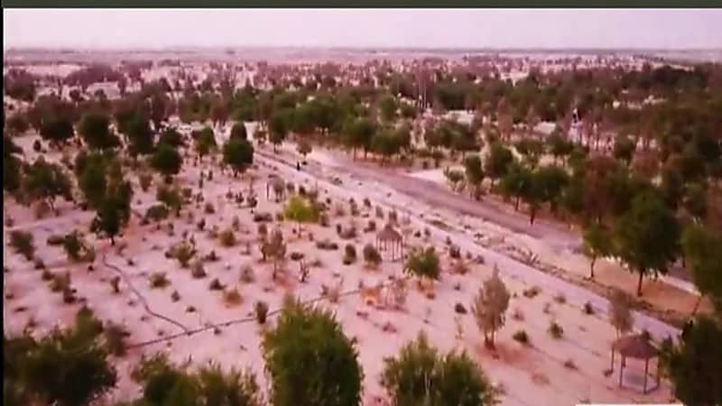 رئيس المركز الوطني لتنمية الغطاء النباتي : نسعى لزراعة 240 مليون شجرة حتى عام 2030 (فيديو)