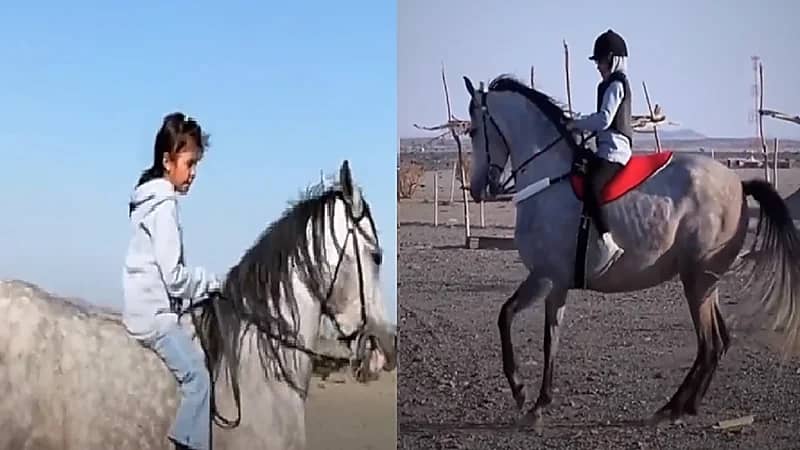 شاهد .. براعة أصغر خيالة في المملكة