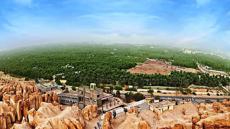 مختص : تأشيرة الزيارة والمرور ستغير قواعد اللعبة بصناعة السياحة