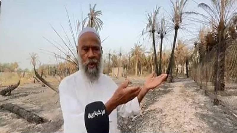 مزارعون بعد حريق 15 مزرعة بالأحساء: الهواء والحرارة سبب اشتعال النيران