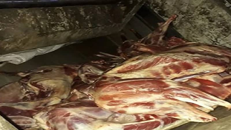 إحباط تهريب 128 من لحوم الاضاحي بجدة