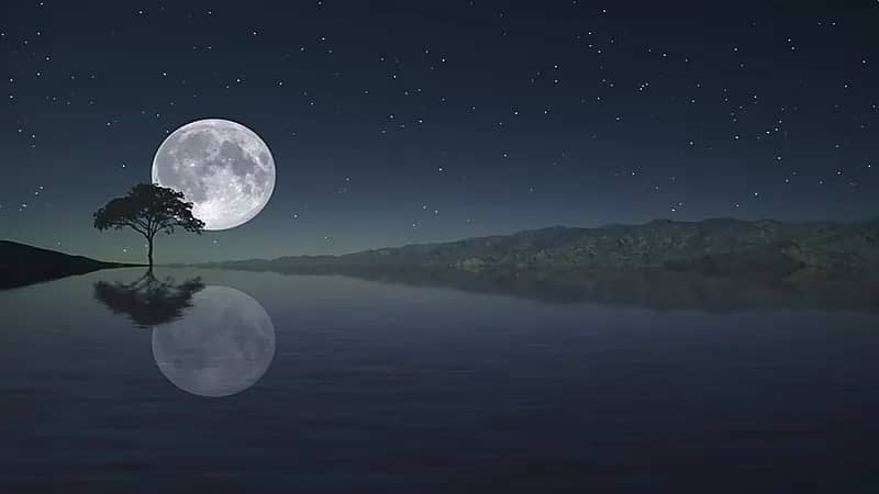 المسند يوضح أسباب رؤية الأجرام السماوية عند الأفق كبيرة