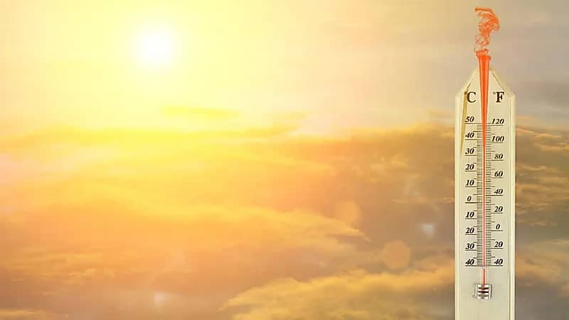 الحصيني: غدا أول أيام طباخ التمر