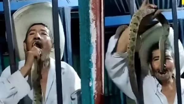 مشهد صادم لـ عجوزًا يدخل ثعبانًا سامًا في فمه..فيديو