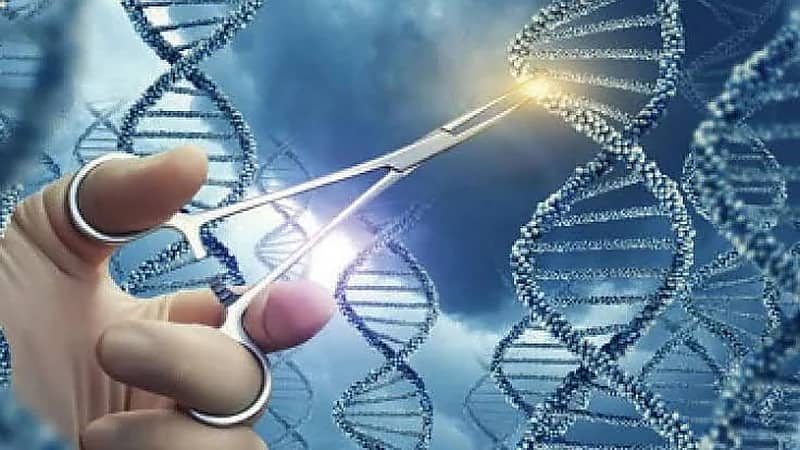 استشاري: العلاج الجيني الجديد سيحدث فارقًا لمريض فقر الدم المنجلي .. فيديو