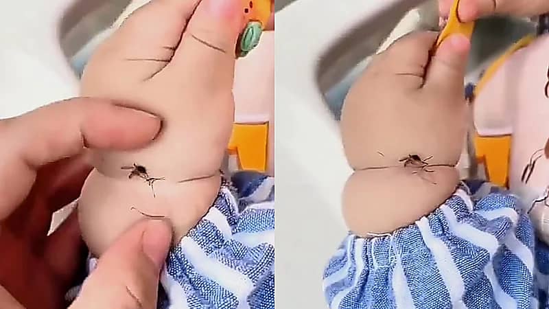 طفل يقضي على البعوض بيده  ..  فيديو