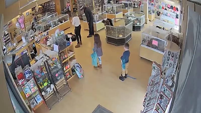 عائلة تتظاهر بإصابة أحد أفرادها بنوبة صرع لسرقة كلاب .. فيديو