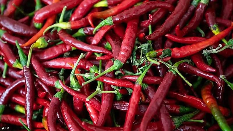 فوائد غير متوقعة للفلفل الحار أثناء الحمل