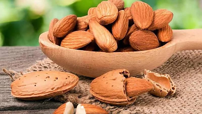 اللوز: كنز غذائي يحمي القلب ويكافح السرطان وينظم السكر