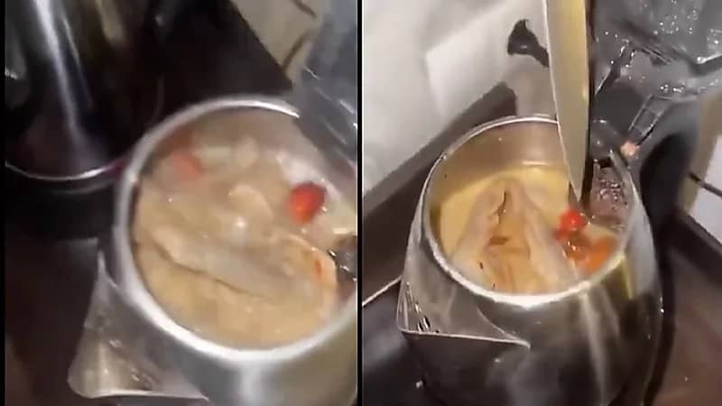 نزيل بفندق يطبخ الكبسة في غلاية كهربائية .. فيديو