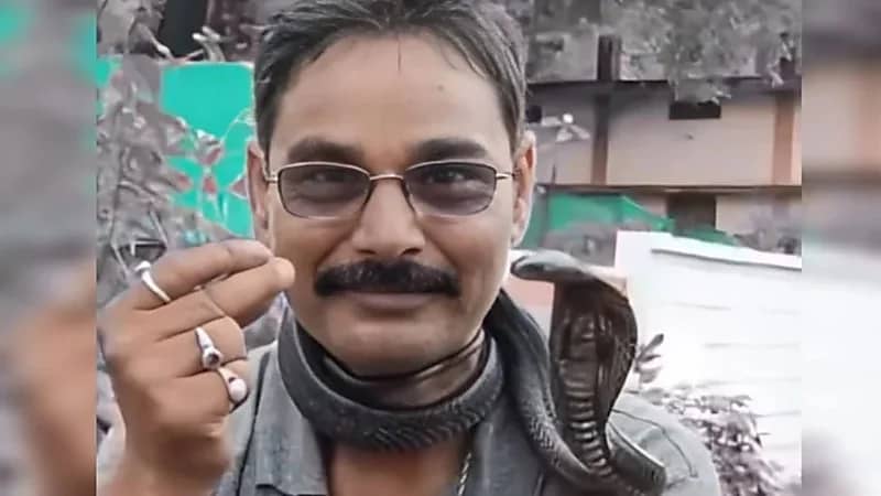 وفاة هندي لدغته كوبرا لفها على عنقه بطريقة مأساوية