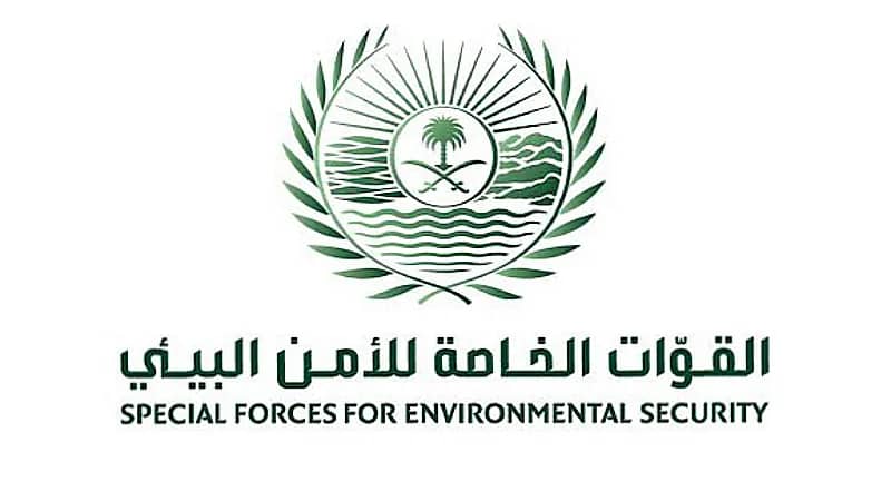 ضبط 28 مخالفًا لنظام البيئة في عدد من مناطق المملكة ..فيديو