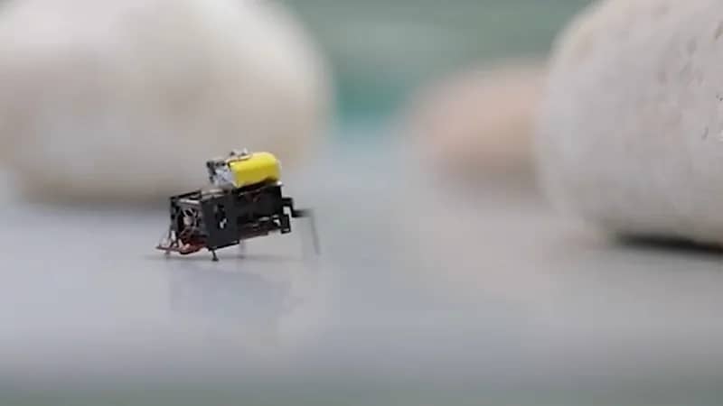 جامعة صينية تبتكر روبوتاً فائق الصغر على شكل صرصور .. فيديو