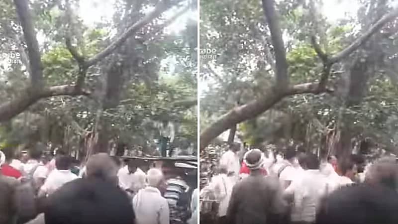 قرد يتسلل لمقر حكومي ويسرق حقيبة نقود .. فيديو