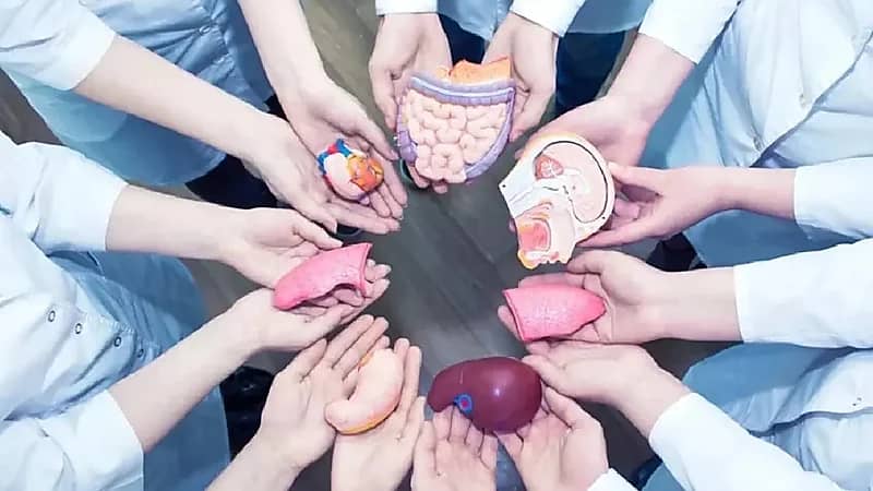 WhatsApp Image 2025-09-25 at 5.37.26 PM.jpeg