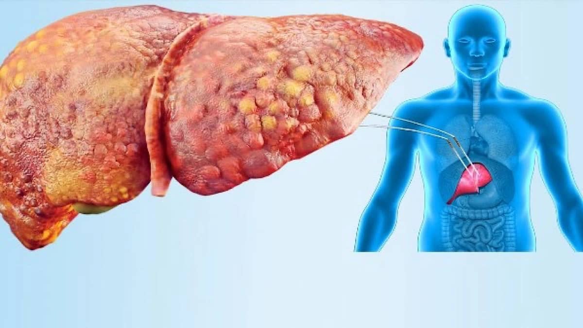 WhatsApp Image 2025-10-06 at 3.33.45 PM.jpeg