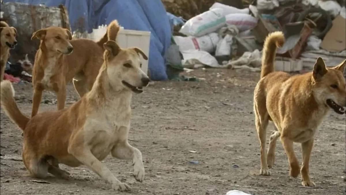 WhatsApp Image 2025-10-07 at 10.09.09 AM.jpeg