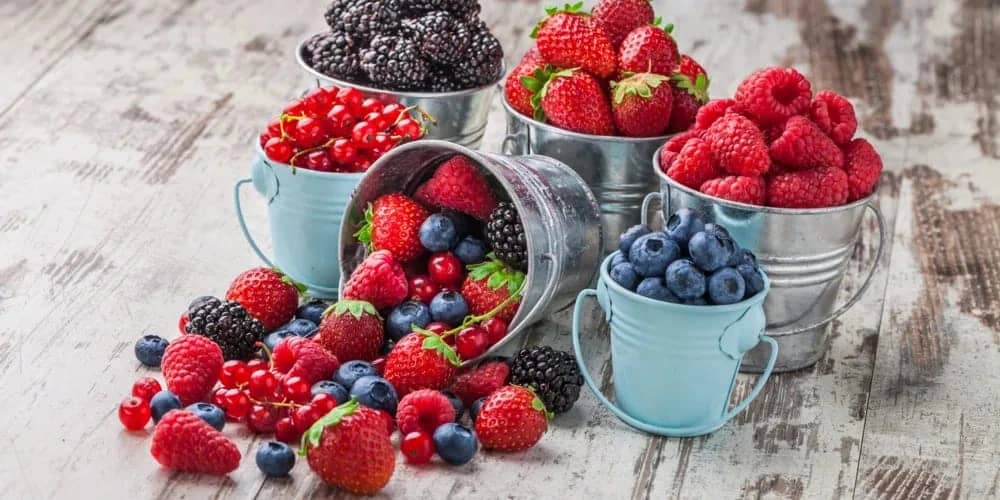 WhatsApp Image 2025-10-10 at 7.45.05 PM (1).jpeg