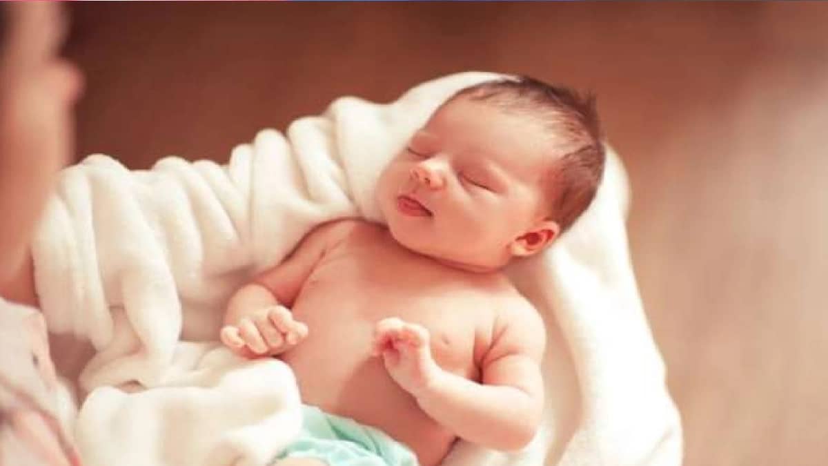 WhatsApp Image 2025-11-02 at 10.50.39 PM.jpeg