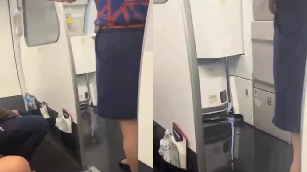 WhatsApp Image 2025-11-13 at 2.41.41 PM.jpeg