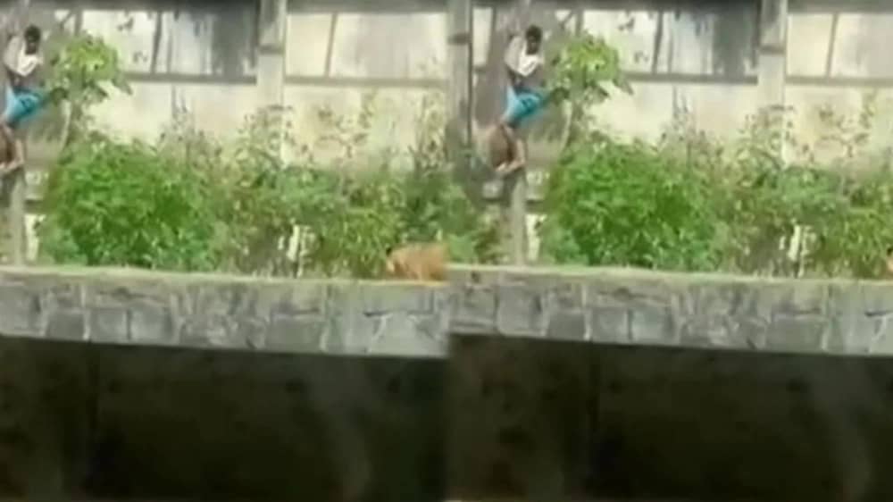 WhatsApp Image 2025-12-01 at 3.40.55 PM.jpeg