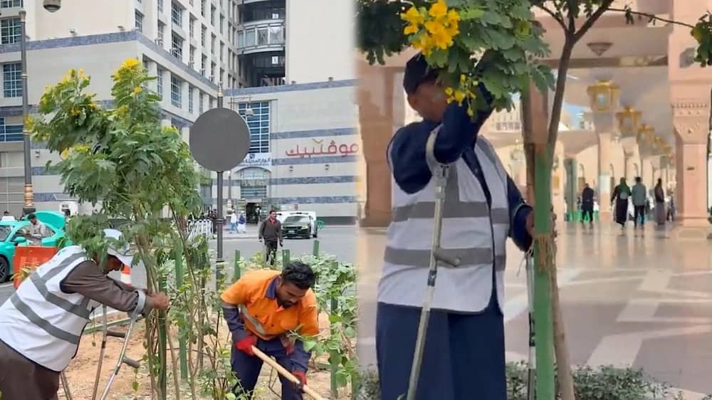 WhatsApp Image 2025-12-10 at 3.21.32 PM.jpeg