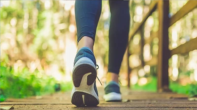 أستاذ علم البيئة: المشي ووسائل النقل العام أفضل لحماية المناخ