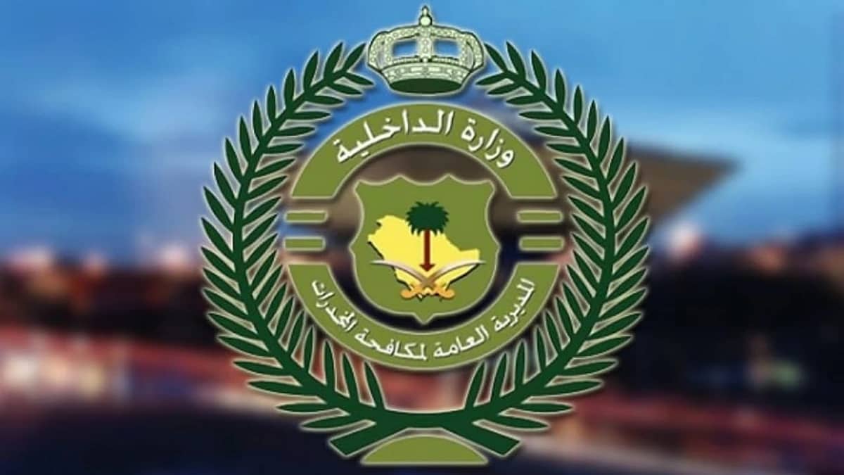 ضبط 9 مروجين للمخدرات وكميات كبيرة من المواد المخدرة بعدة مناطق.. فيديو