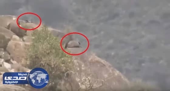 بالفيديو.. رصد أماكن اختباء وتمركز عناصر ميليشيات الحوثي