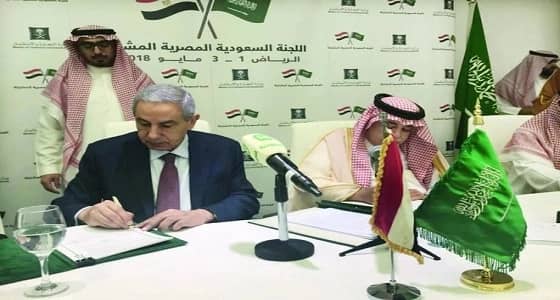 تعاون اقتصادي سعودي مصري يزيل كافة العراقيل في التجارة والاستثمار