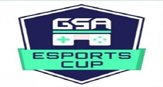 الخميس.. انطلاق بطولة كأس الهيئة العامة للرياضات الإلكترونية