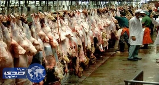 ذبح مليون رأس من المواشي بمسالخ مكة