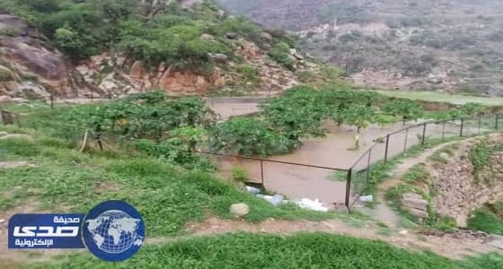 ⁠⁠⁠⁠⁠بالصور.. بدء الحقل الإرشادي الثاني في " جازان "