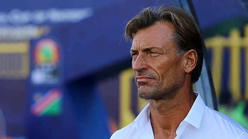 "رينارد" على رادار مارسيليا الفرنسي