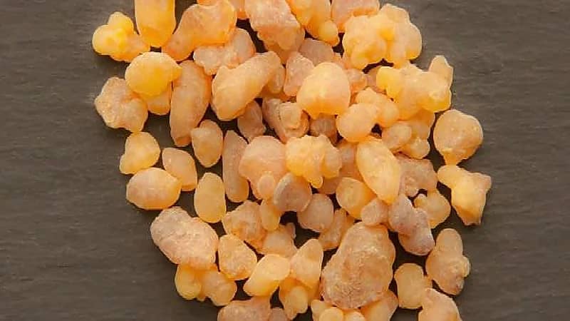 "الغذاء والدواء" توضح فوائد ومحاذير تناول مادة "المر"