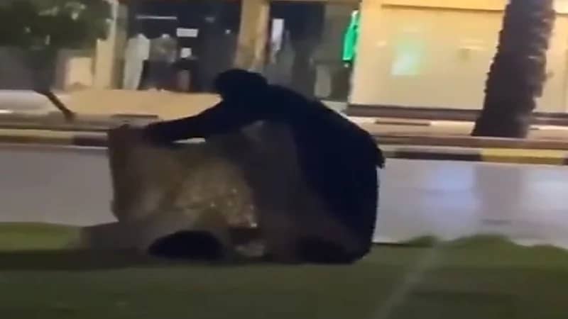 بالفيديو.. موقف إنساني من مسنة وجدت شاب نائم في الشارع في وقت متأخر