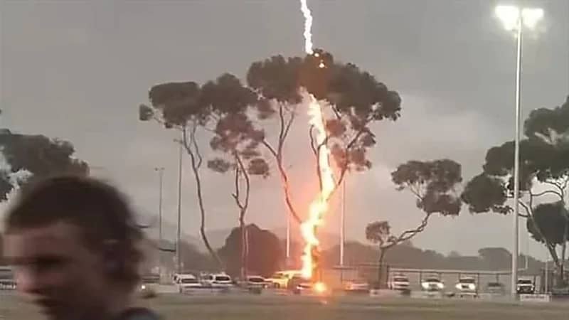 صاعقة رعدية ضخمة تضرب مباراة وتشعل شجرة