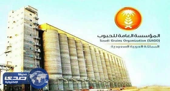 رفع نسبة المستفيدين من منتجات الدقيق في مكة والمدينة‎