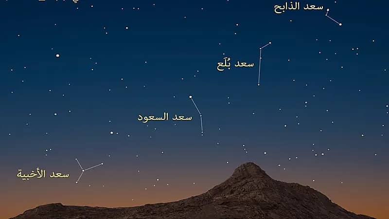 المسند: اليوم دخول طالع سعد الذابح