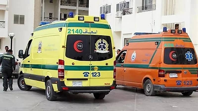 مصرع 7 وإصابة 44 في حادث تصادم مروع.. فيديو