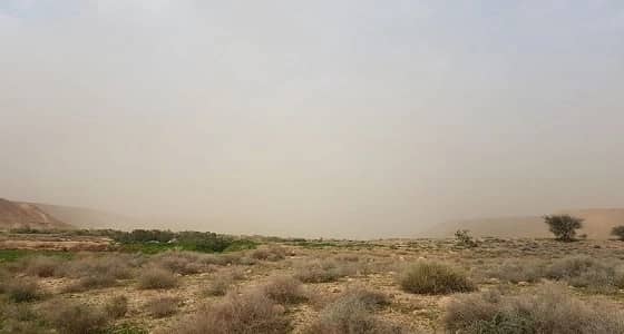 بالتزامن مع العاصفة.. نصائح للحماية من الغبار والعواصف الرملية