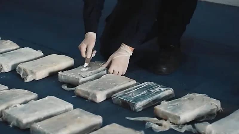 الضريبة والجمارك تحبط محاولة تهريب 28.9 كيلو جرام من الكوكايين المخدر.. فيديو